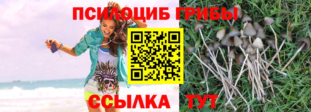 Галлюциногенные грибы MAGIC MUSHROOMS Серов