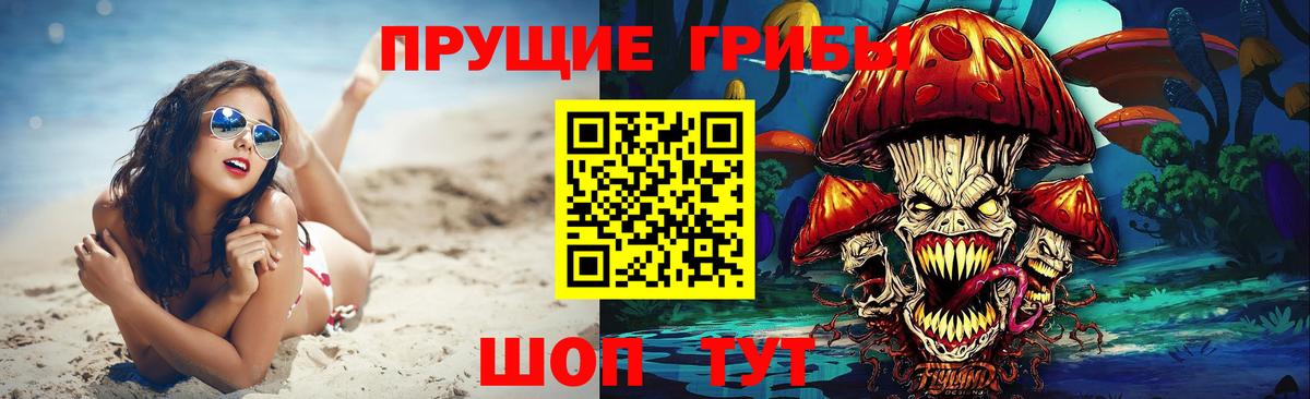 Псилоцибиновые грибы прущие грибы  Вход с VPN  Серов  Псилоцибиновые грибы Psilocybe 