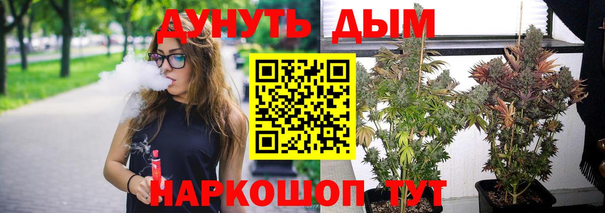 Каннабис индика Серов